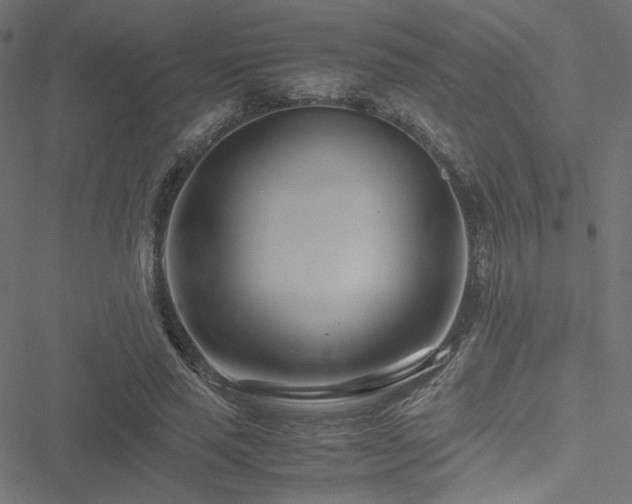 X0000051250637200506171136