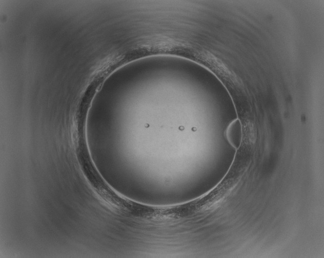 X0000051250638200506171136