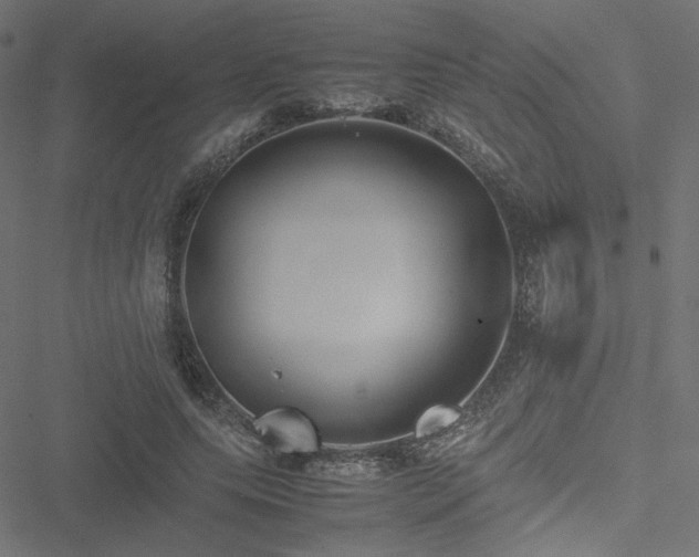 X0000051250639200506171137