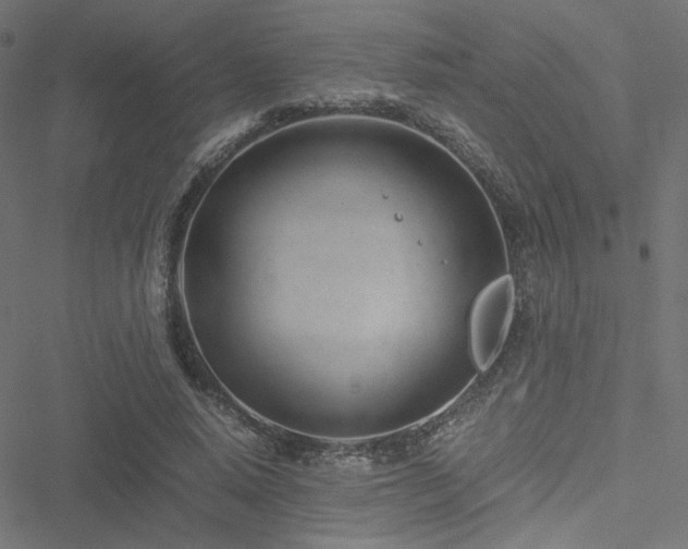 X0000051250640200506171137