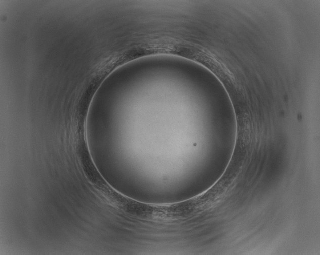 X0000051250641200506171137