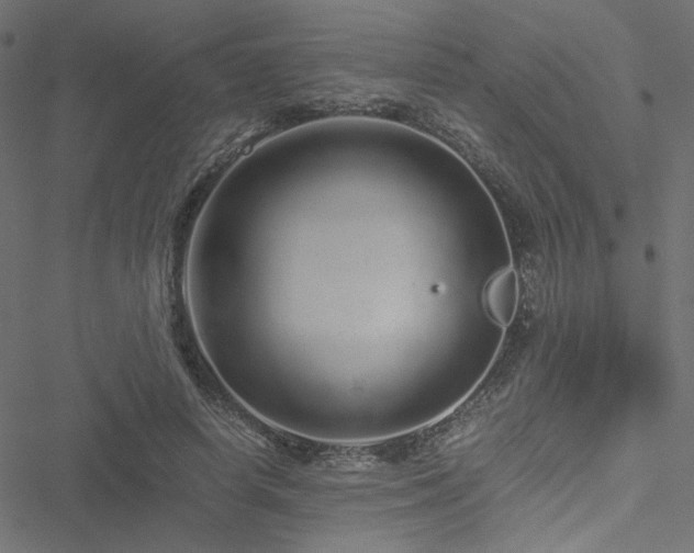 X0000051250642200506171137