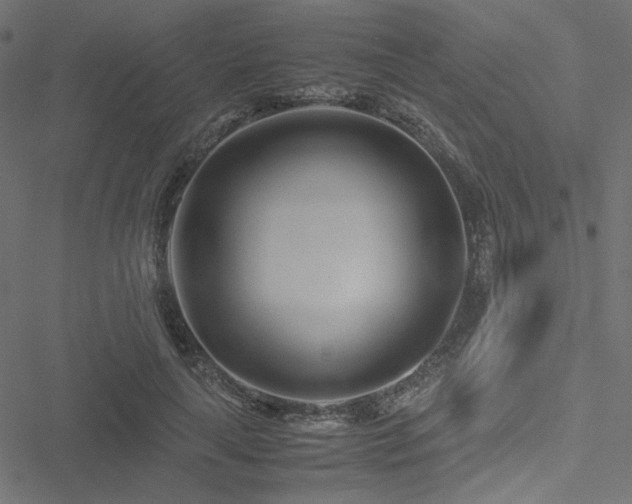 X0000051250643200506171137