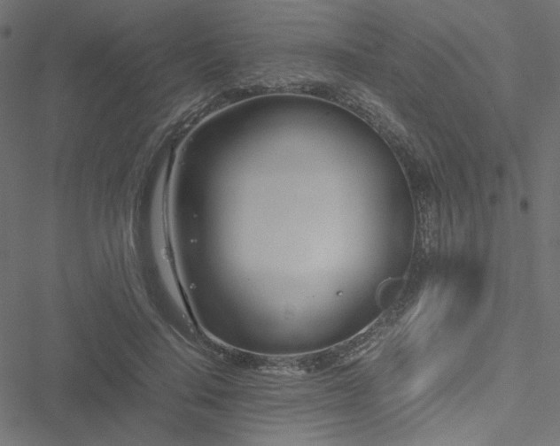 X0000051250644200506171137