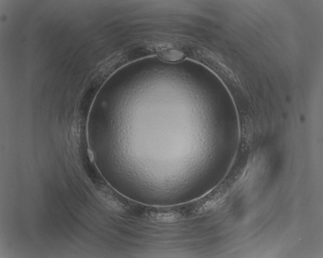 X0000051250645200506171137