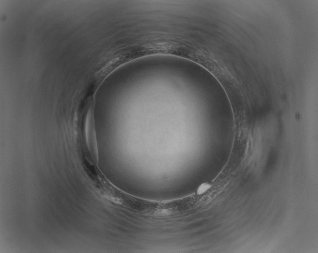 X0000051250647200506171137