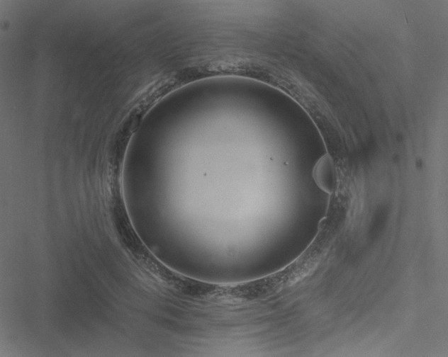 X0000051250648200506171137