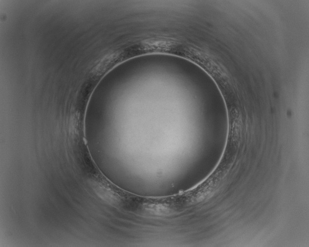 X0000051250649200506171137