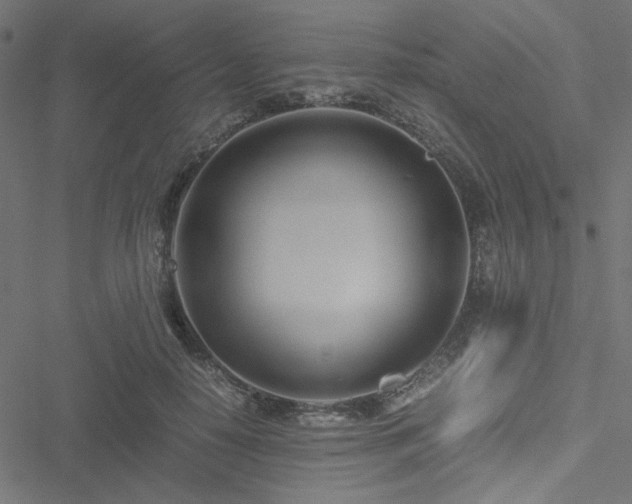 X0000051250650200506171137