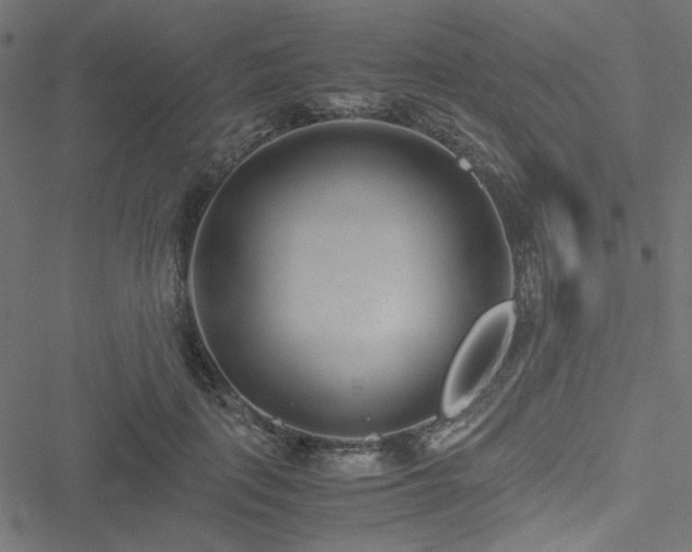 X0000051250651200506171137