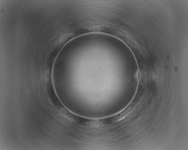 X0000051250652200506171137