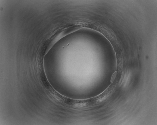 X0000051250653200506171137