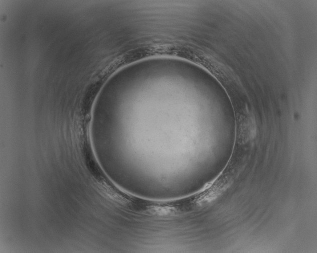 X0000051250654200506171137