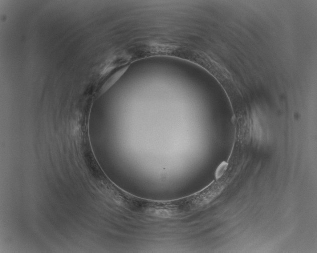 X0000051250655200506171137