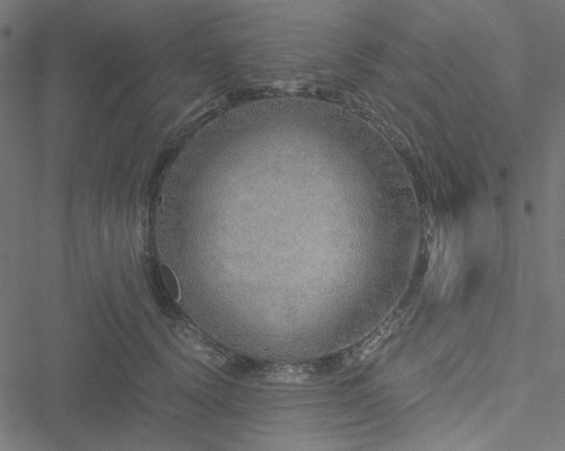 X0000051250656200506171137