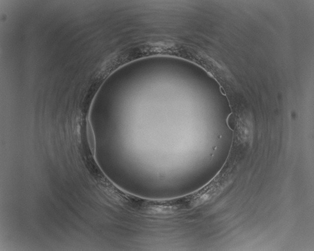 X0000051250657200506171137