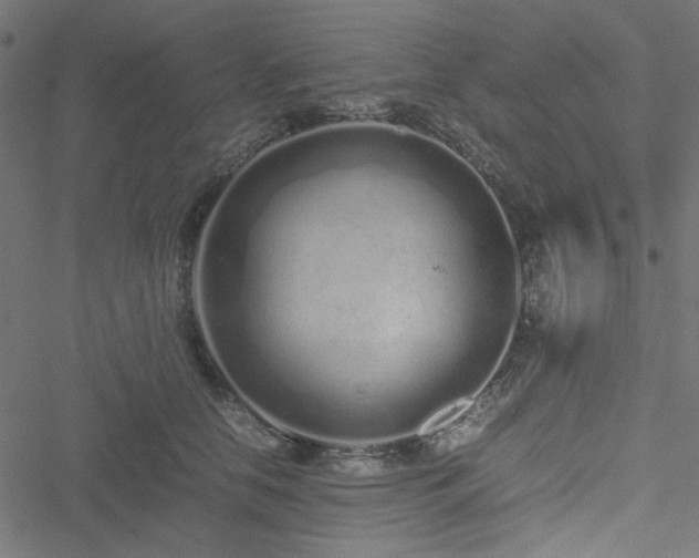 X0000051250658200506171137