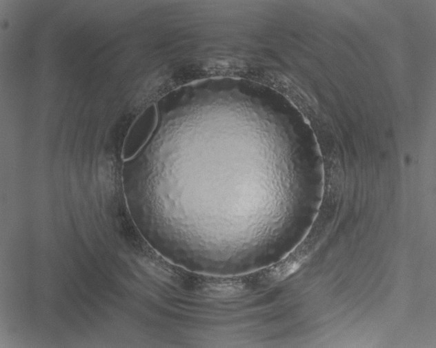 X0000051250659200506171137