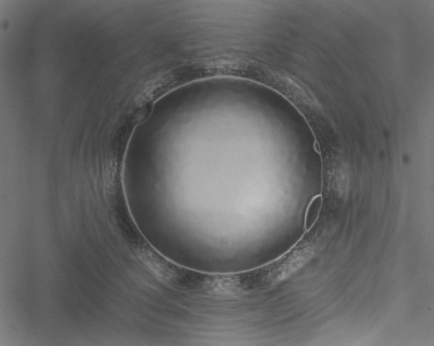 X0000051250660200506171137