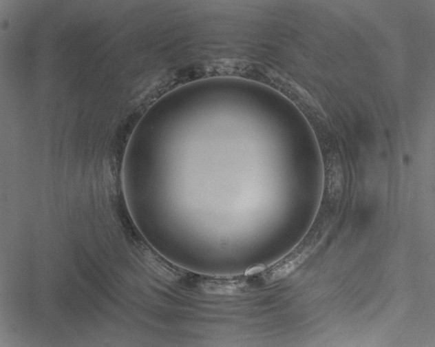 X0000051250661200506171137