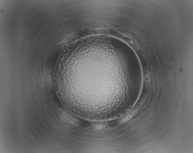 X0000051250662200506171137