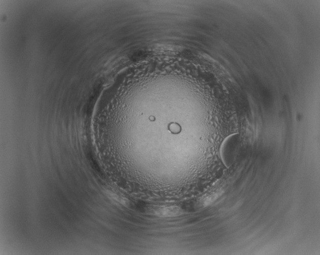 X0000051250663200506171137