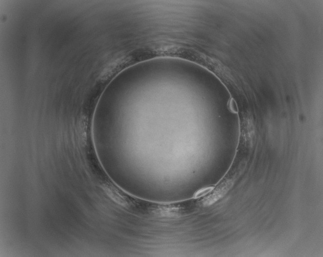 X0000051250664200506171137