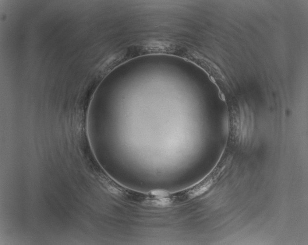 X0000051250665200506171137