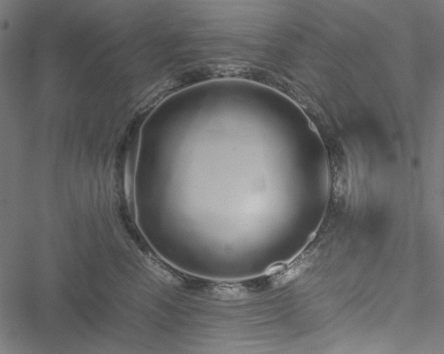 X0000051250666200506171137