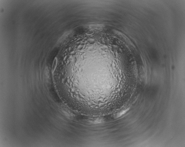 X0000051250667200506171137