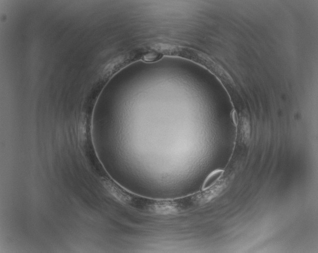 X0000051250668200506171137