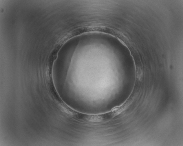 X0000051250670200506171137