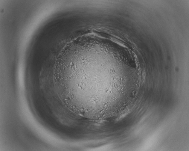 X0000051250671200506171137