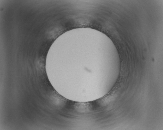 X0000051250672200506171137