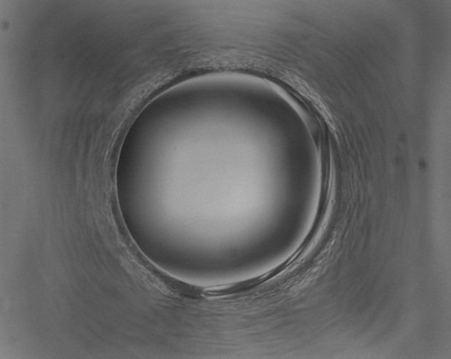 X0000051250673200506171136