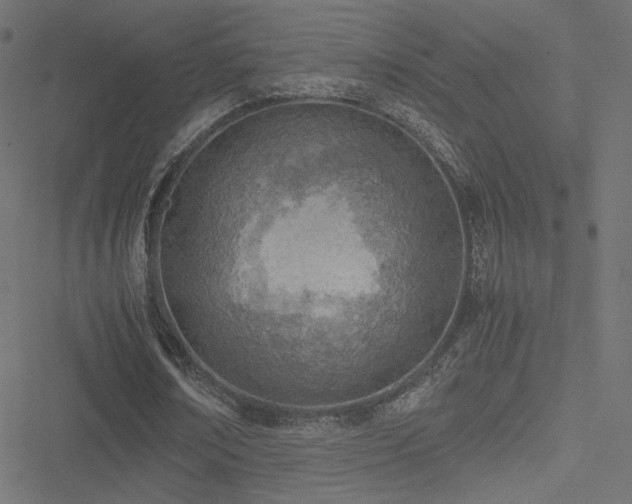 X0000051250674200506171136