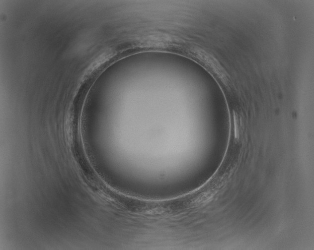 X0000051250675200506171136