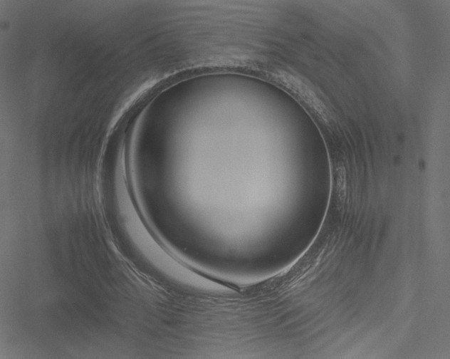 X0000051250676200506171136