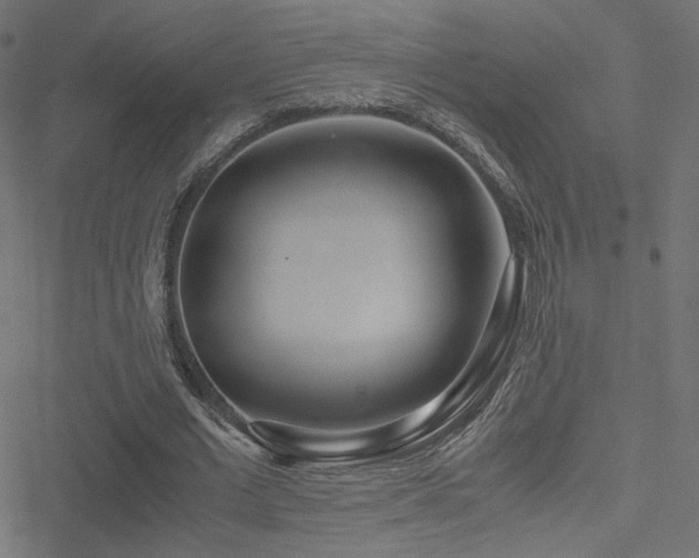 X0000051250677200506171136