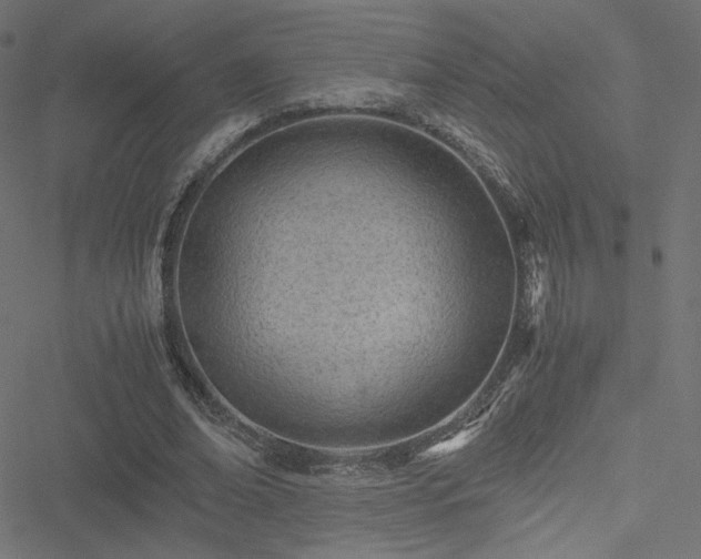 X0000051250678200506171136