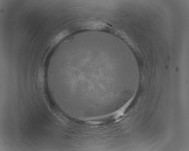 X0000051250679200506171136