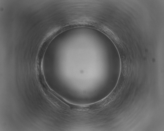 X0000051250680200506171136