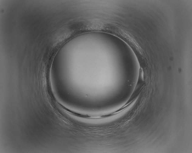 X0000051250681200506171136