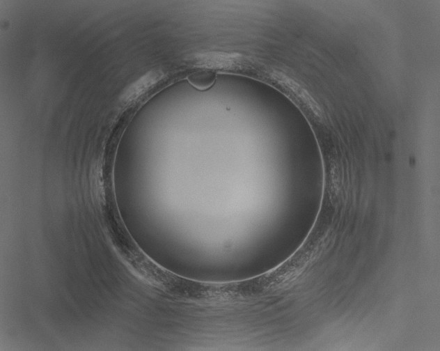 X0000051250682200506171136