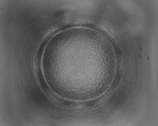 X0000051250683200506171136