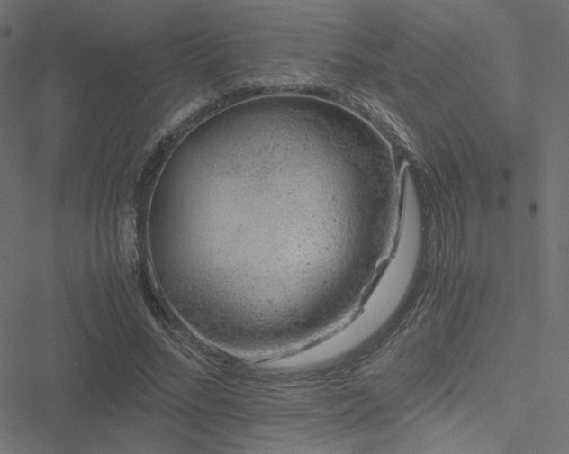 X0000051250684200506171136