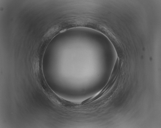 X0000051250685200506171136