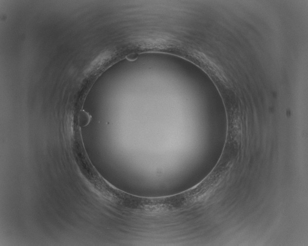 X0000051250686200506171136