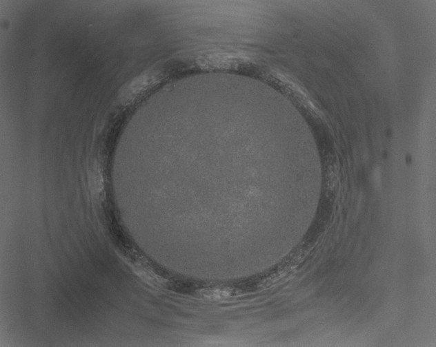 X0000051250687200506171136