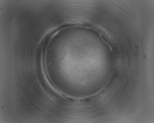 X0000051250688200506171136